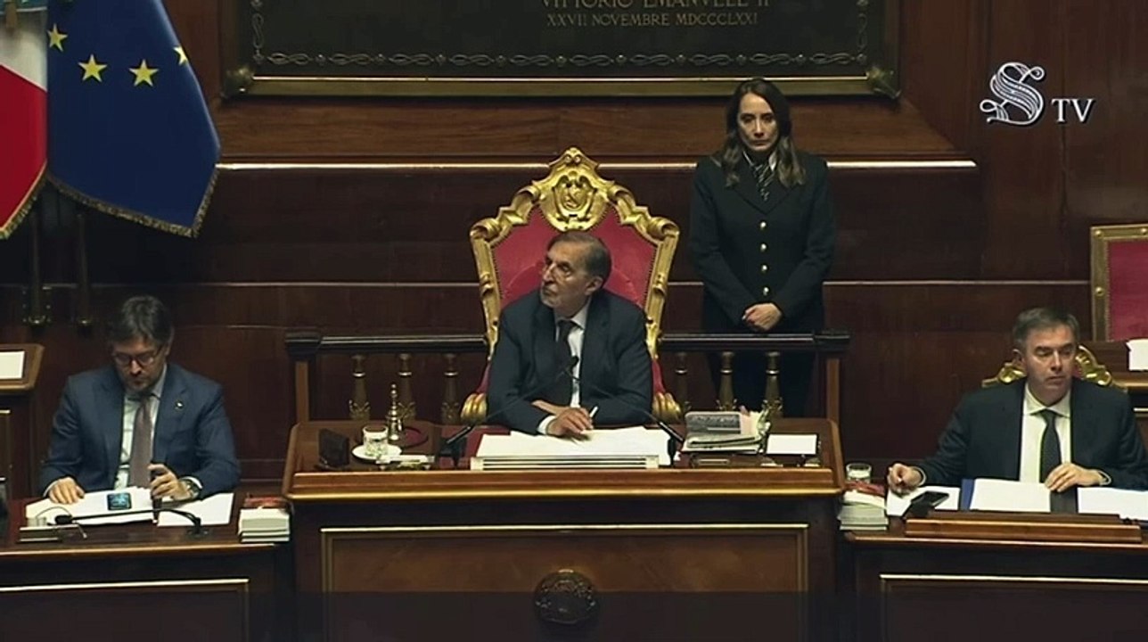 Gerettete Kätzchen 24-01-25