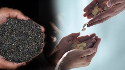 Shattila Ekadashi 2025 Daan : षटतिला एकादशी के दिन जरूर करें इस 1 चीज का दान...| Boldsky