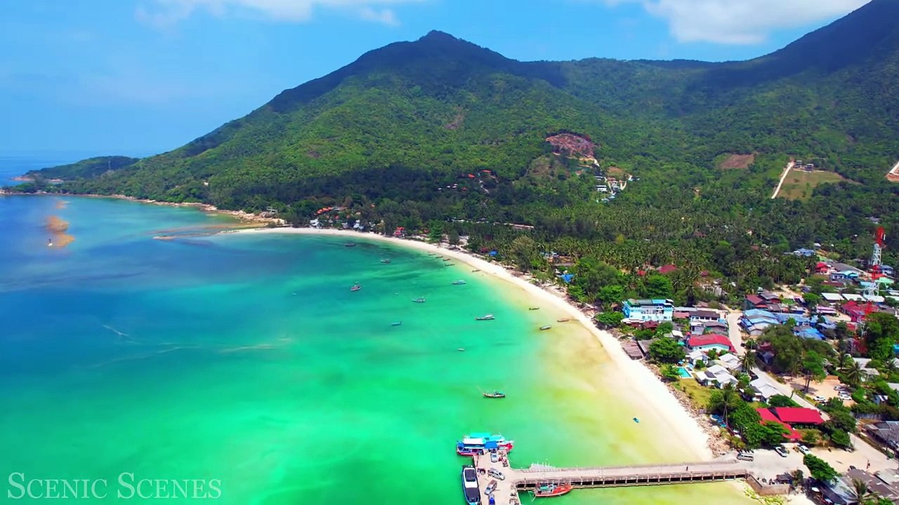 The Most BEAUTIFUL Earth Video You'll Ever See in 4K HDR #4k #nature #animals