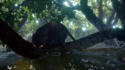 Flow Película Clip 🎬