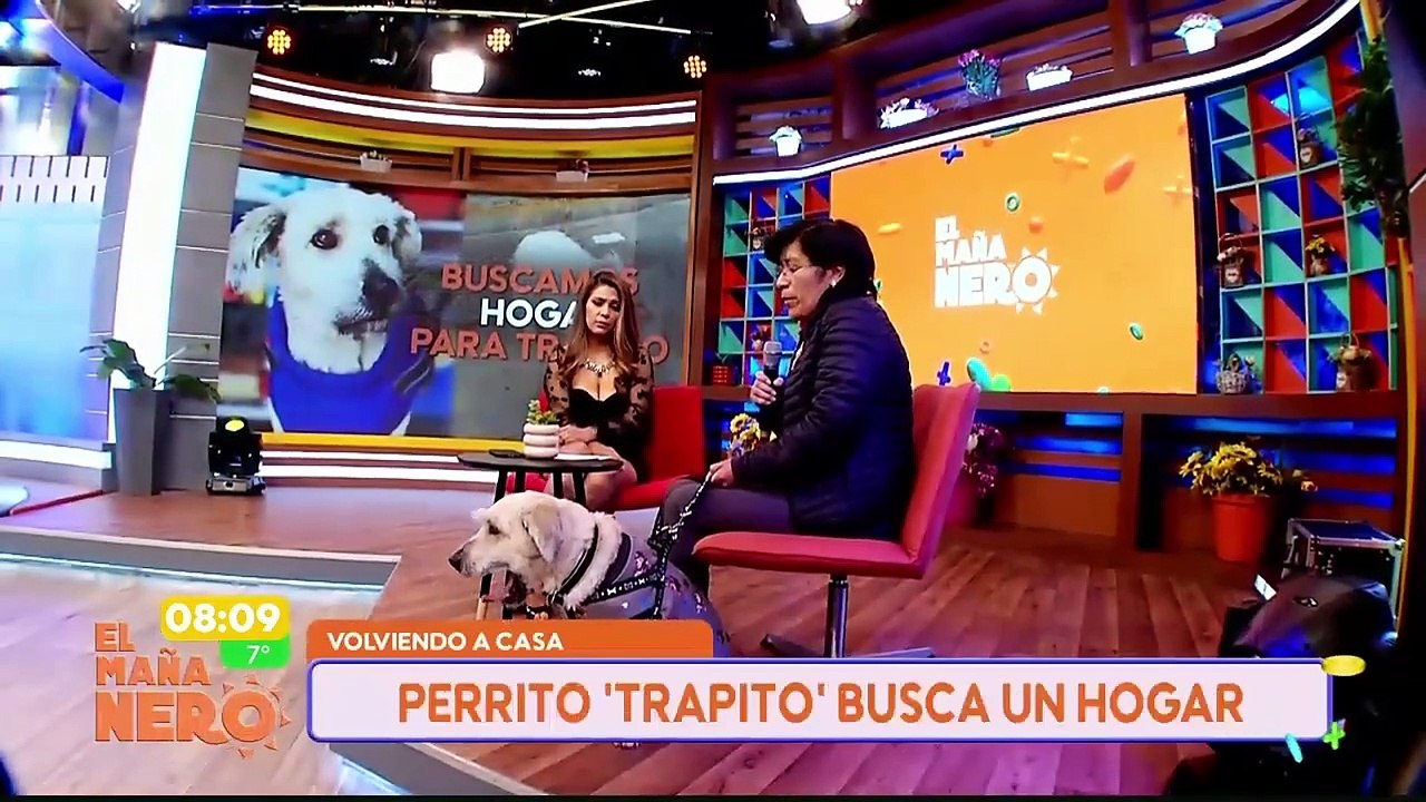 CASO TRAPITO