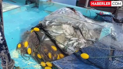 Zonguldak'ta Balıkçılar İki Ton Lüferle Limana Döndü