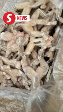Frozen frog meat among RM1.4mil seized smuggled Chinese New Year goods