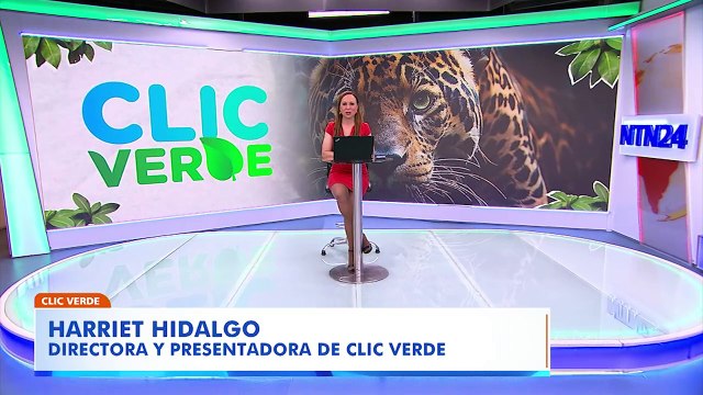 contaminación de plástico en océanos