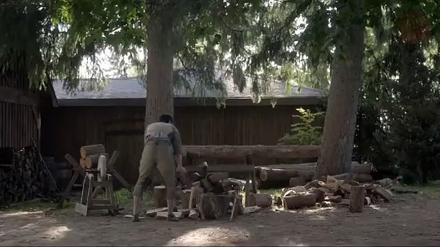 Tráiler de la serie Alias Grace en Netflix