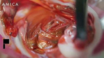 Black Forest Berry Hair: regalate bacche ai vostri capelli bruni