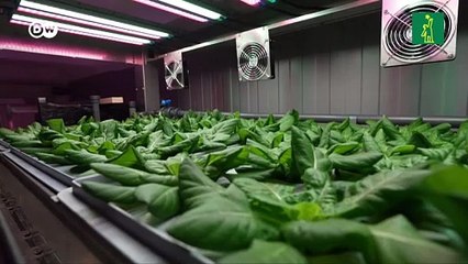 Startups agrotecnológicas florecen en la Semana Verde de Berlín