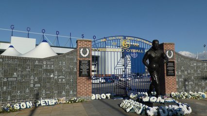 Everton transfer latest as David Moyes firm on fact Toffees need new faces