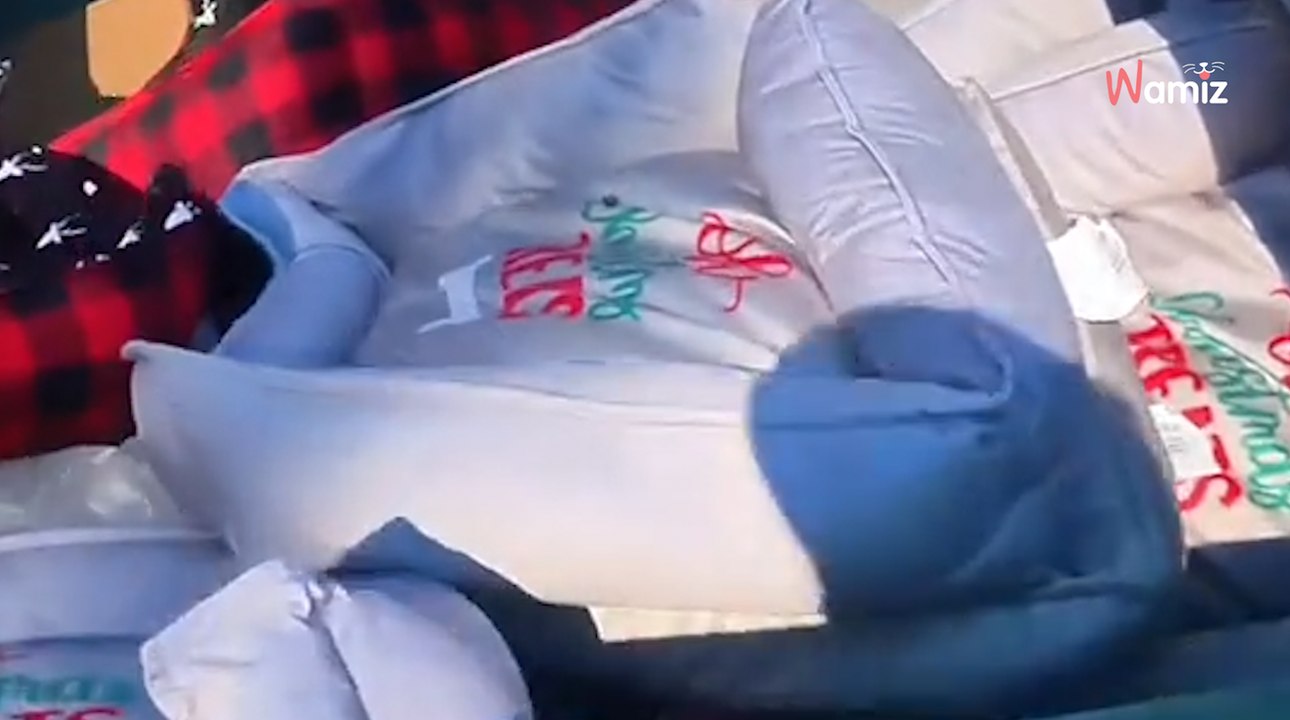 Un homme fouille les poubelles devant une animalerie : leur contenu choque 2M de personnes