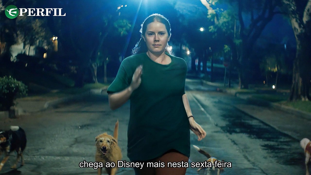 "Oferta Imperdível: Canina estreia no Disney+ e novo episódio de The Pitt na Max!"