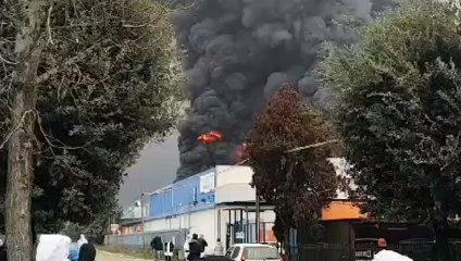 Ariano Polesine, stabilimento prodotti ittici a fuoco