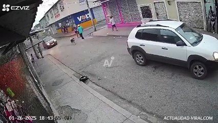 ¡Los hizo escapar! Un valiente can frustró un intento de asalto en plena vía pública