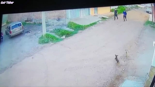 Funny Girls Fails 2025 TRY NOT TO LAUGH, Best Funny Videos Compilation, Best Girl Fails Of The Year Memes 2025 Instant Regret Compilation 2025 Epic Fails Instant Regret