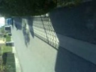 savages edition limited en cabre wheelie