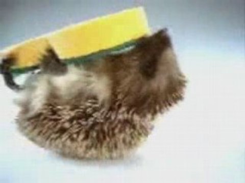 Pub Spontex Herisson n°1 love