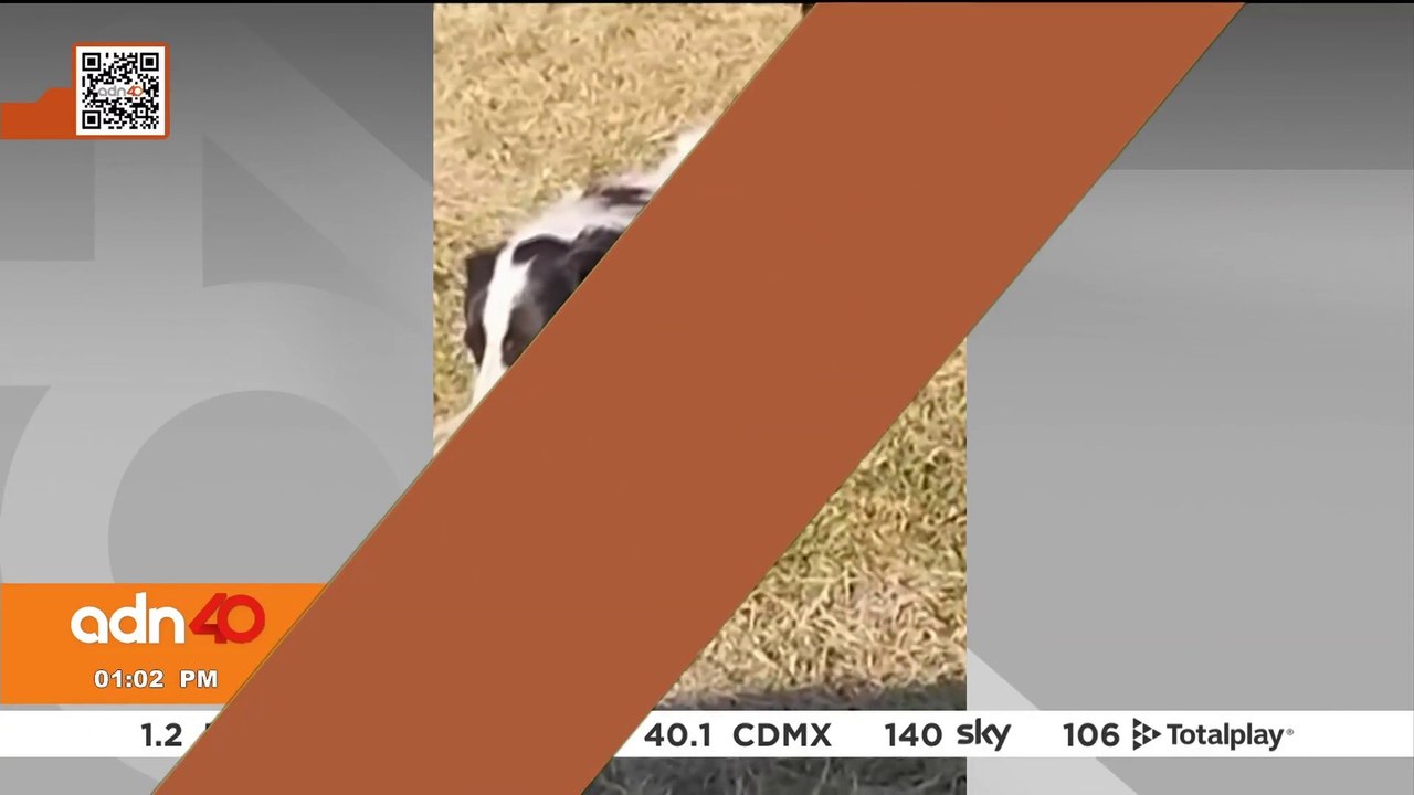 Asesinan al influencer, Adal Peña en Culiacán, Sinaloa