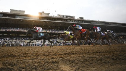 Rising Stars and Seasoned Racers at Pegasus World Cup