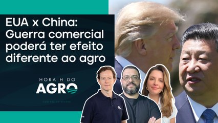 Quais produtos agro vão se beneficiar com Trump no poder? | HORA H DO AGRO