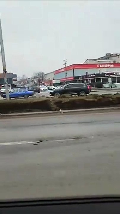 CHP’li Mansur’dan ağaç katliamı! CHP'liler için mesele ağaç değilmiş!