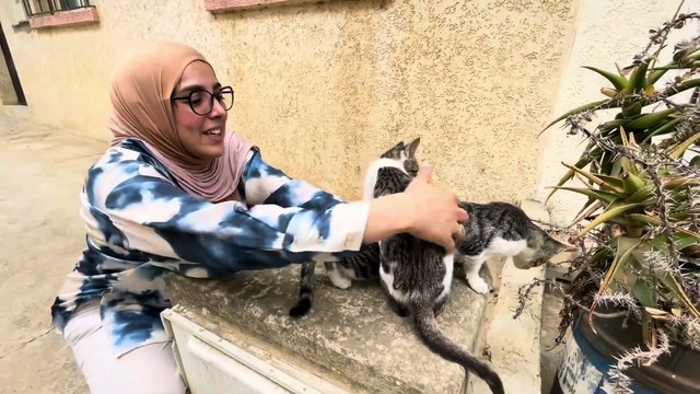 Cats that sleep cuddling are the cutest cats you'll ever meet.