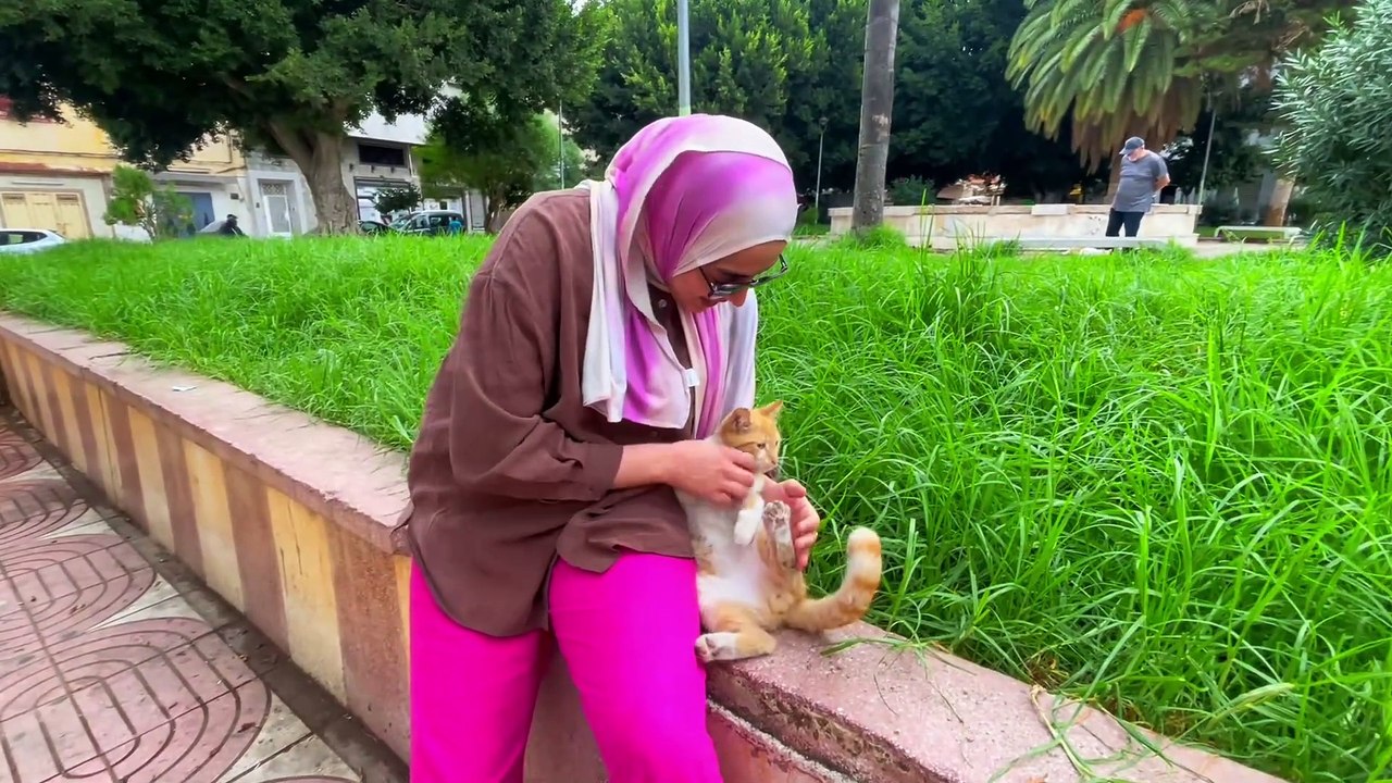 Ginger the cat and his girlfriend are very cute and need love and food.