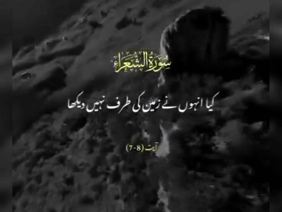 اللہ تعالٰی کا ارشاد مبارک قرآن مجید میں