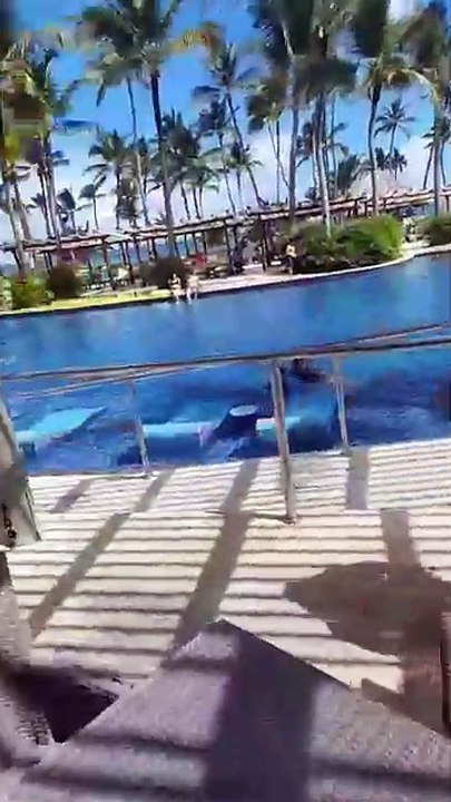 BARCELO PALACE DELUXE BABARO PUNTA CANA REPUBLICA DOMINICANA.