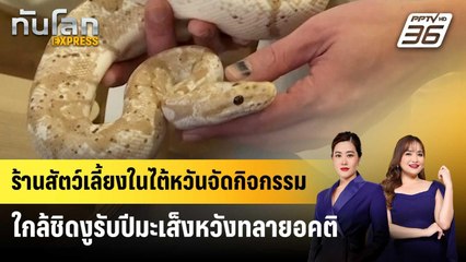 ร้านสัตว์เลี้ยงในไต้หวันจัดกิจกรรมใกล้ชิดงูรับปีมะเส็ง หวังทลายอคติ | ทันโลก EXPRESS | 25 ม.ค. 68