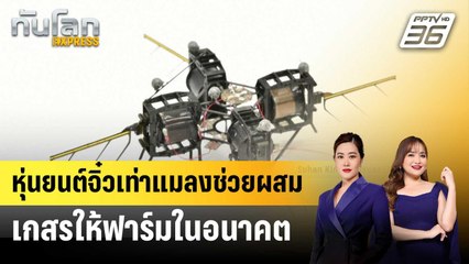หุ่นยนต์จิ๋วเท่าแมลงช่วยผสมเกสรให้ฟาร์มในอนาคต | ทันโลก EXPRESS | 25 ม.ค. 68