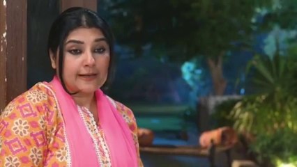 Bajjo Episode 33 - [Eng Sub] - Javeria Saud - Arez Ahmed - Suqaynah Khan - 25th January 2025 - Har Pal Entertainment