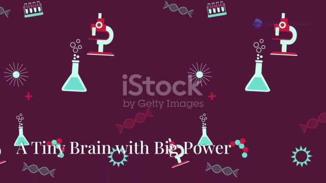 Hypothalamus for neet and jee + all Pokemon explanation