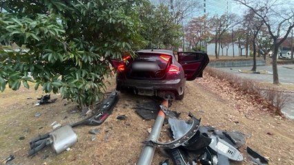 부산서 20대 만취운전자가 몰던 승용차 공원으로 돌진 / YTN