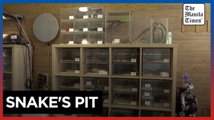 Taipei snake store aims to break down prejudice, ahead of Lunar Year of the Snake
