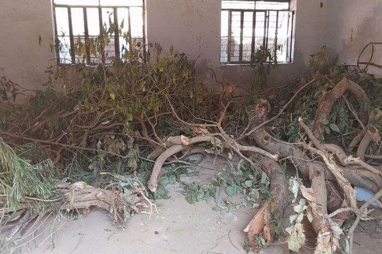 swm news...यहां वितरण के अभाव में धूल फांक रही बेटियों की साइकिलें