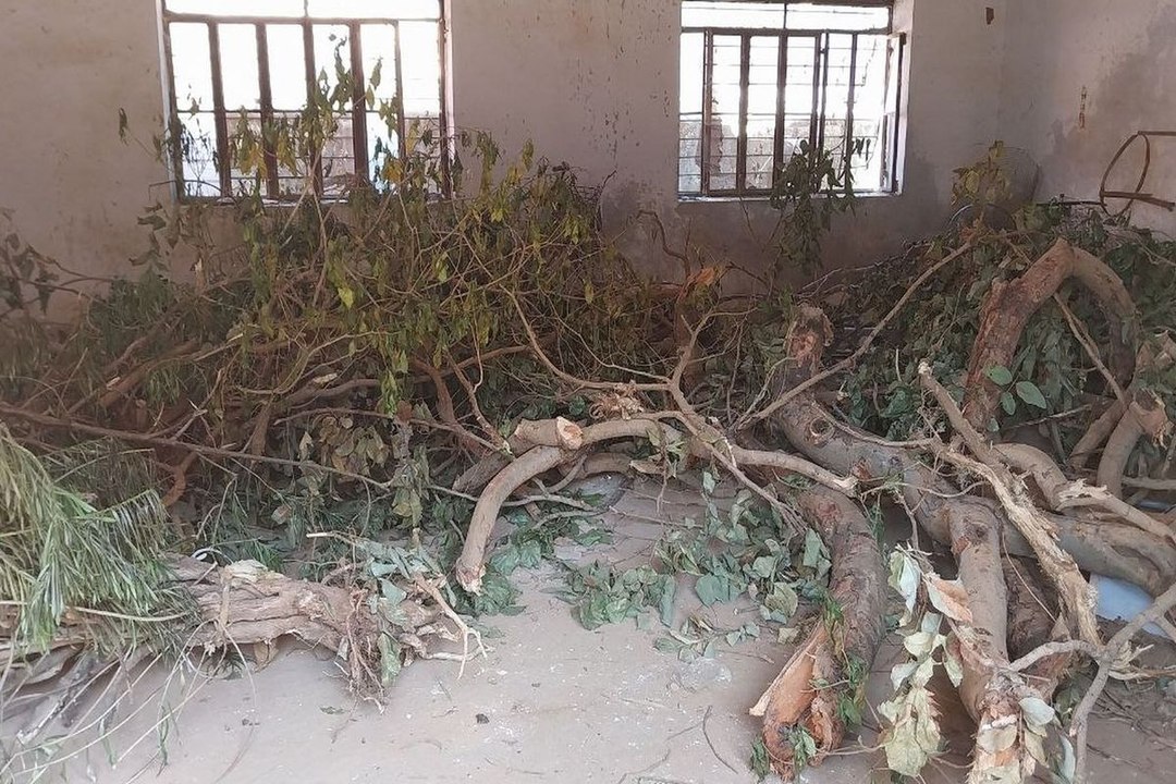 swm news...यहां वितरण के अभाव में धूल फांक रही बेटियों की साइकिलें