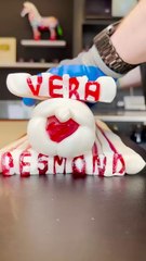 It's just 😲 wow- wait for the end