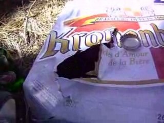 debut d aprem a st hilaire