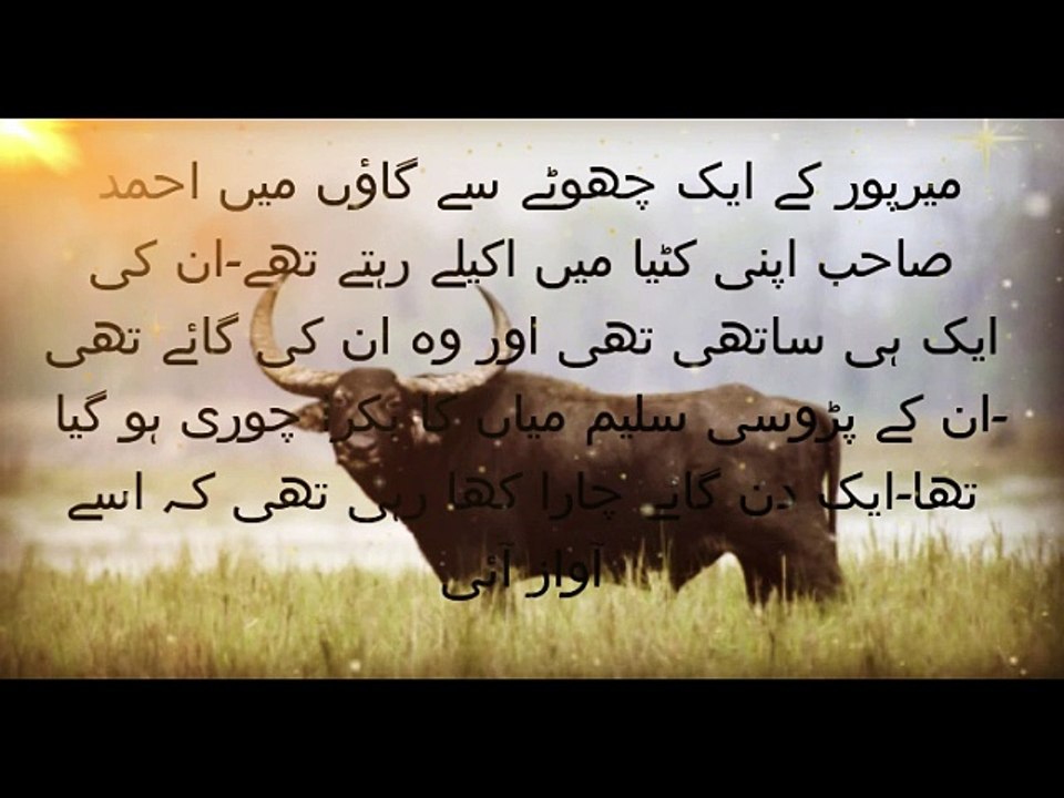 اللہ سب کا رازق