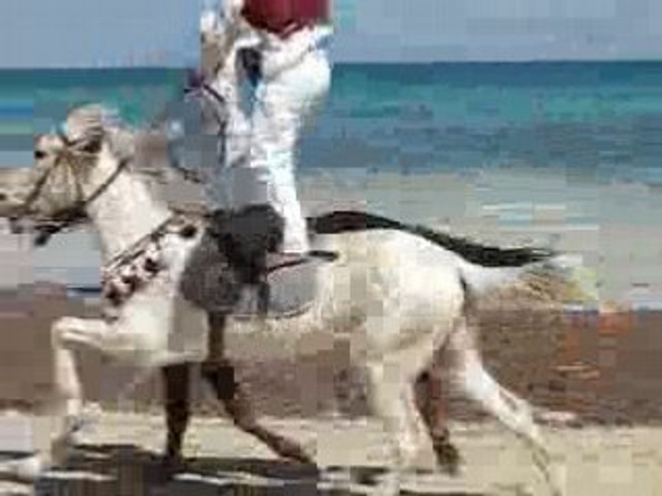 Fantasia Hotel Rym Beach Djerba la Douce Tunisie