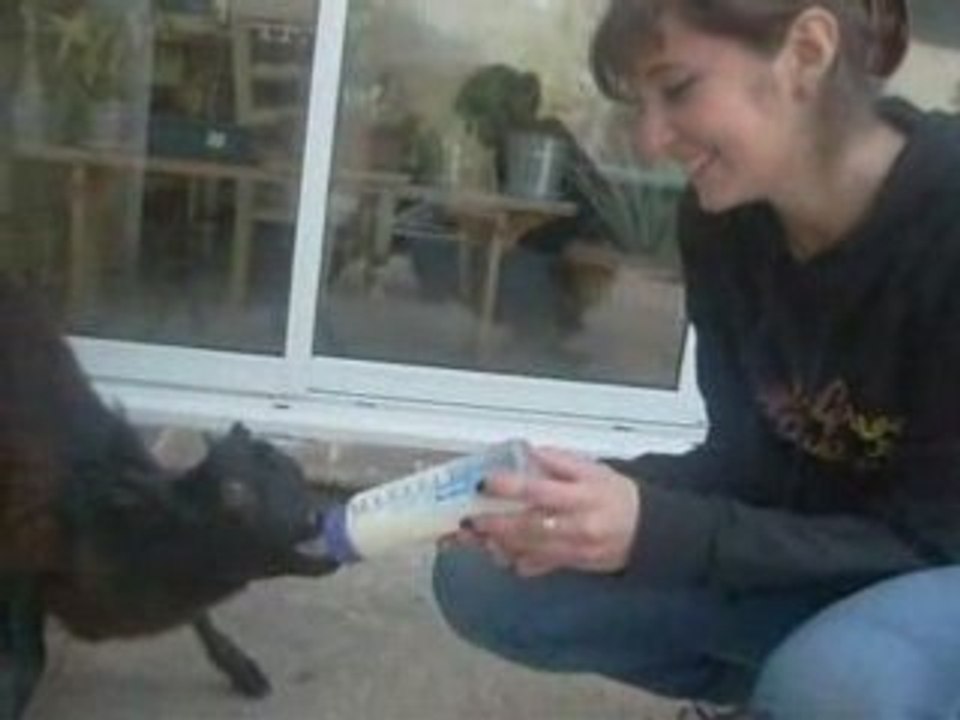 Augustine-Josette-Marie-France