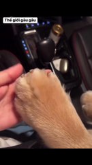 Let's be together forever