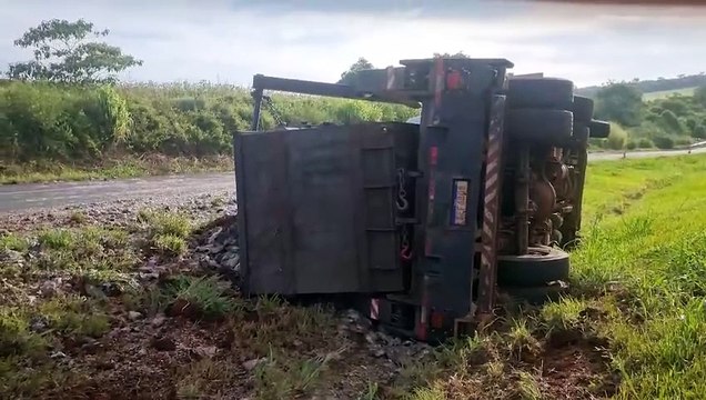 Carreta tomba e carga de Tilápia é espalhada na rodovia em Cascavel
