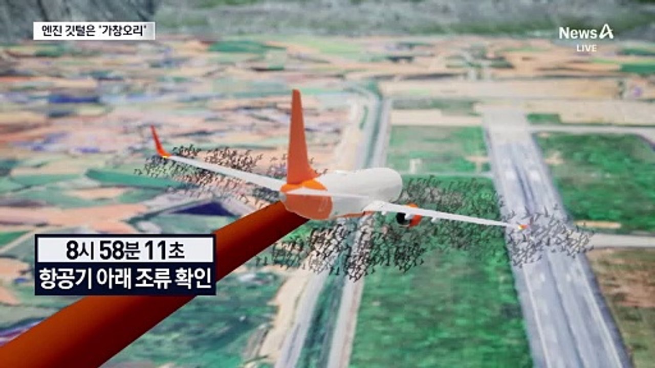 제주항공 사고 여객기 엔진 깃털 주인은 ‘가창오리’