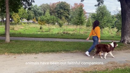 Oral Health+ Dental Chews for Dogs