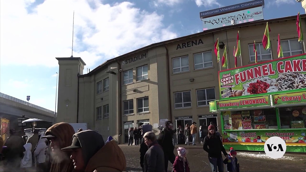 Young Riders and Sheep Steal the Show at Colorado’s Rodeo