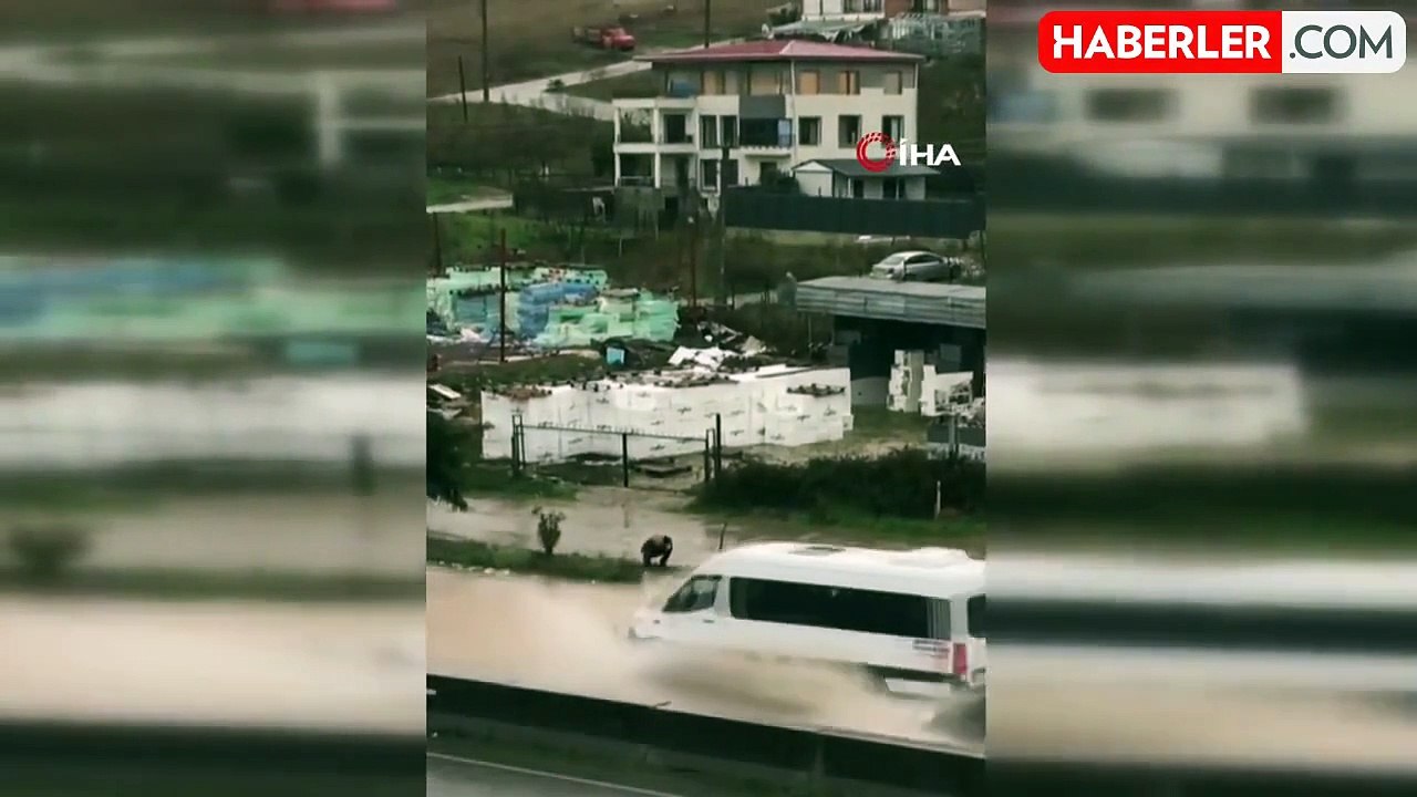 Yalova'da Duyarlı Vatandaş Su Baskınını Önledi