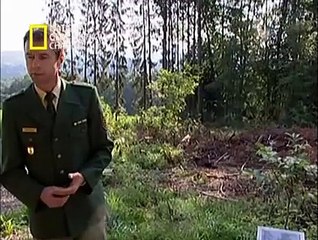 "Mayday: Cruce Mortal - Análisis de las Catástrofes Aéreas"