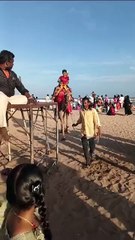 Camel Ride in Silver Beach, Cuddalore