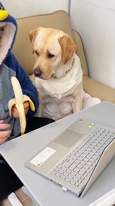 Banana, want to eat Hami melon, want to eat What about lemons