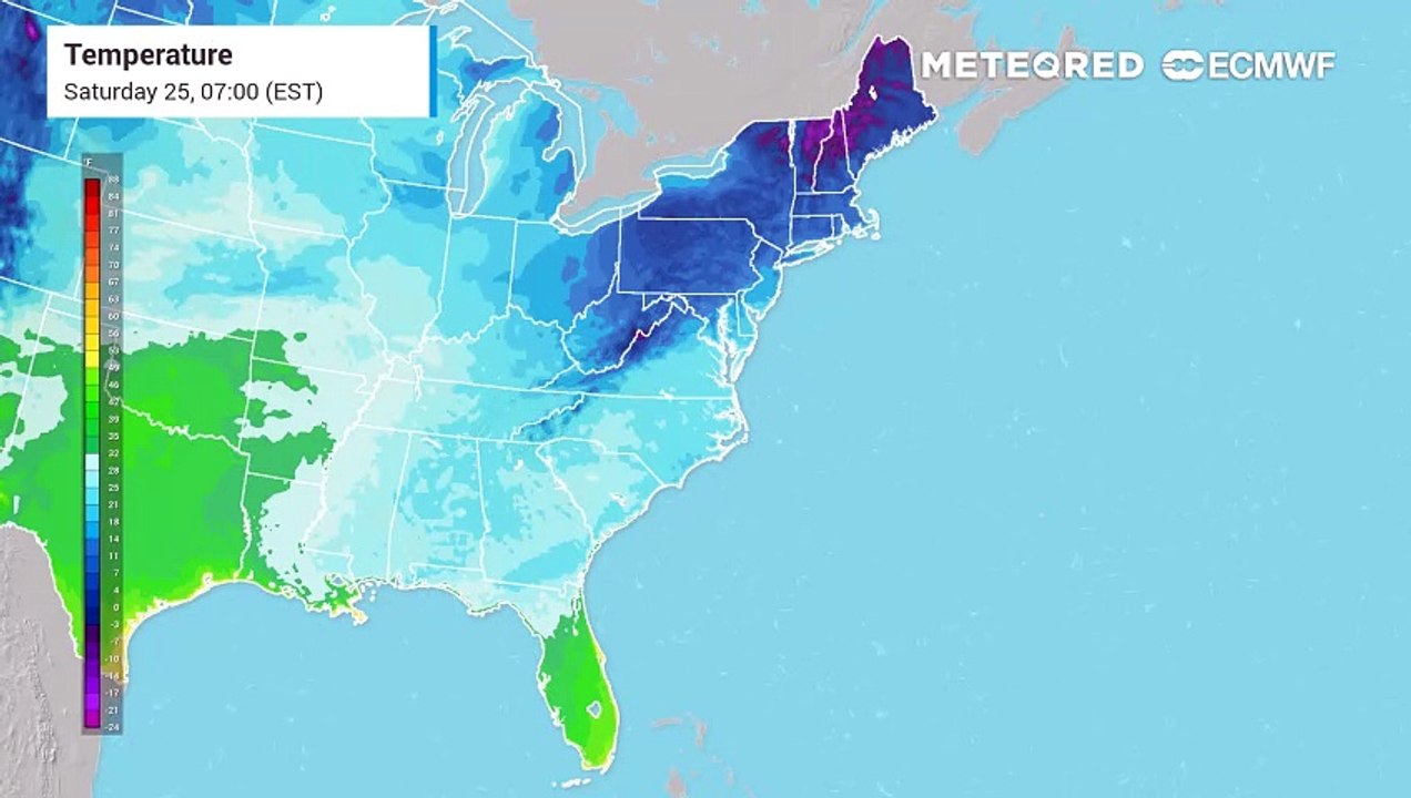 US Forecast